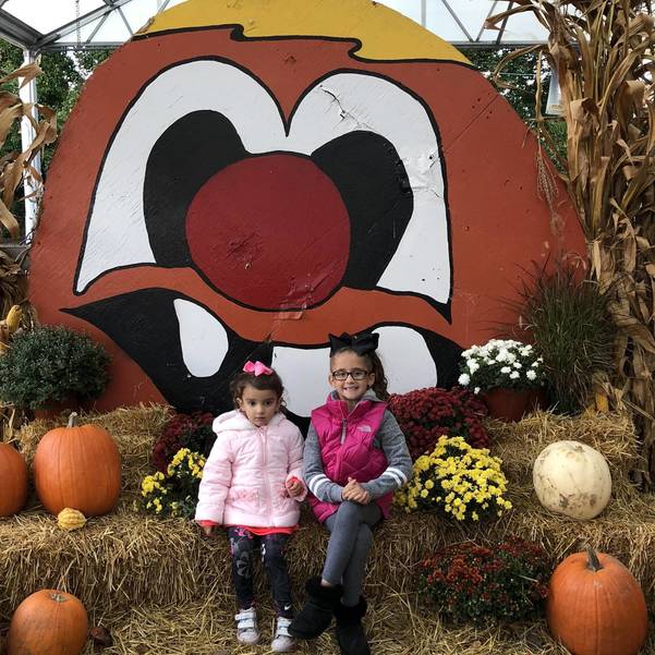 Homegrown Fairfield Garden Center Closes After 52 Years Tapinto