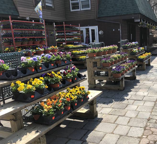 Just in Time for Spring; Sparta Nursery and Garden Center Opens on Woodport Road TAPinto