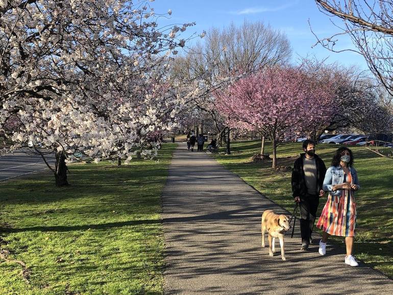 Best crop ed8cf6c78f819d573f8a img 3449