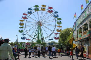 Carousel image 0182759f018391fcdd3d img 6529
