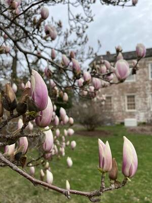 Carousel image 0b495e329800b1baa0fc img 0423