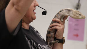 Carousel image 0c8c5bc6f6be3d039993 img 4160