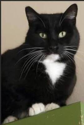 Carousel image 108967fa84a7dac94c92 img 9280