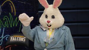 Carousel image 17eaea4808574c130264 img 4411