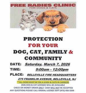 Carousel image 1b25ab8b11992ce65266 img 6629