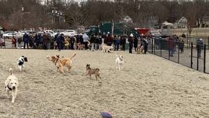 Carousel image 1c65bce8fbe7d13f82bb image0   2026 04 13t235040.289