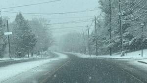 Carousel image 1ee737cd7d80d5ebfe37 img 2201