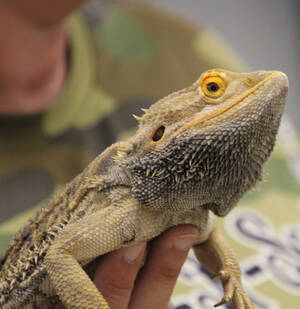 Carousel image 253fc687d5b1365669a7 img 6498