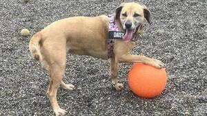 Carousel image 265972ccc9a5f648aed4 image25