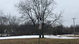 Carousel image 2b85805a00114c83d464 img 2846  1 