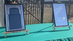 Carousel image 2fac17e462125608b4d8 img 0115