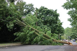 Carousel image 30271c summer storm damage doylestown