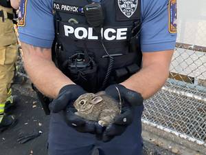 Carousel_image_3106587a47108242fe0e_img_3136