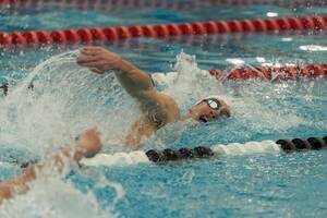 Carousel image 353c8bb12c489d891d2b img 0395