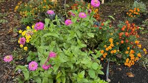 Carousel image 353fb00d969109d098ae img 0863