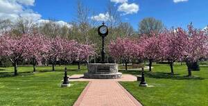 Carousel image 3d33b0e3e3112cf01595 image 1