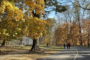 Carousel image 409237 amaques ark