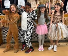 Carousel image 42bd54b1537e6b43587b img 6119