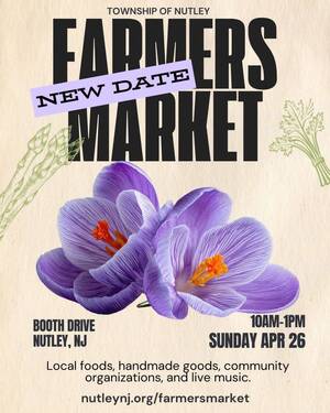 Carousel image 4538ee8616d2cb957d7b img 9870