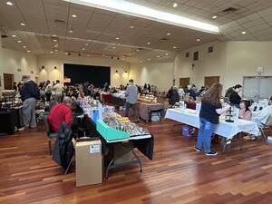 Carousel image 45b0eb09ebacd7d8eee0 img 3806