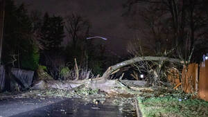 Carousel image 4614aa0e4a906a1d31a1 img 6596 main