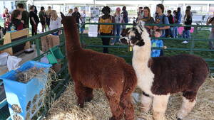 Carousel image 4a1e8e ay elaware alley niversity