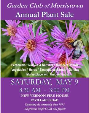 Carousel image 4bbbdb16eed287786a2b img 6721