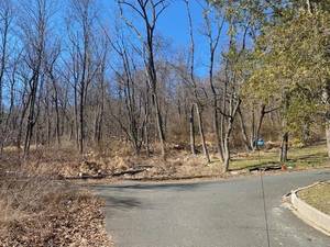 Carousel_image_4d33dd7607e24cd5d794_img_2731