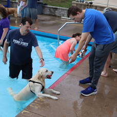 Carousel image 4ffd83 doylestown s fanny chapman pool