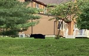 Carousel_image_528b0702c8316789defe_img-7413