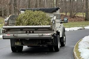 Carousel image 52b856 hristmas tree curbside pick up