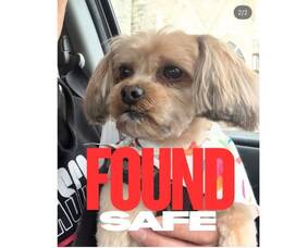 Carousel image 54b54dddfe2d8283967f img 9232