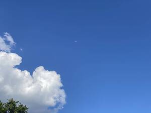 Carousel image 5ad3e47caf109467ec04 img 5546