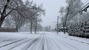 Carousel image 5e1681 snow estfield