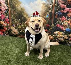 Carousel image 604c35ab4667490e4dc5 img 0720