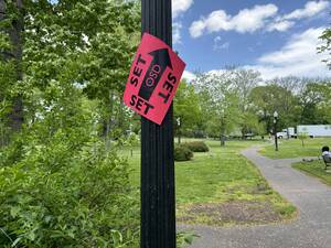 Carousel image 63334c indowaskin ark filming