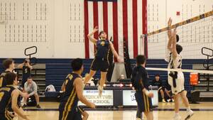 Carousel image 6858618a9b49c3ab25c1 img 5693