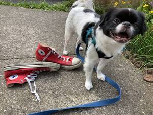 Carousel image 69d4695420adb3df9310 img 0984