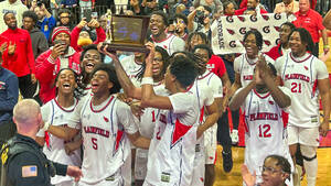 Carousel image 72068de3d5d44df18814 img 2499 main