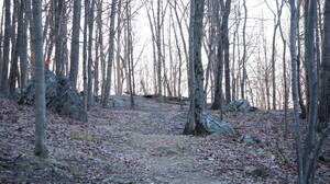 Carousel image 74c26f26567ca1f2b22d img 4147