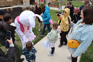 Carousel image 7ad97a aster unny oylestown