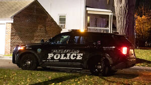 Carousel image 7d2c239a9c4273277ddb img 8330 main