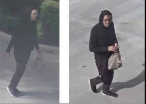 Carousel image 80cef37ec034bbdcacac image 9 19 25 at 12.31 pm