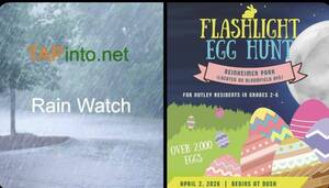 Carousel image 843b09fbf108b7845555 img 8755