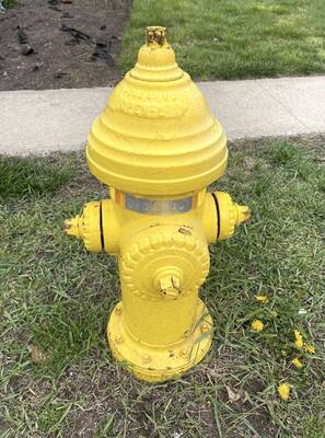 Carousel image 8715b83a779d93abfcc3 img 0829