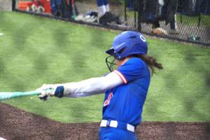 Carousel image 89c5b1054523a2b60d7b img 0075 gatto