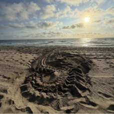 Carousel image 8bcc57be31b0f5489014 image 3 2 26 at 2.22 pm