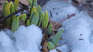 Carousel image 8f18508c44c0deec6eab img 5424