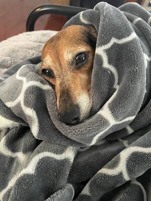 Carousel image 8f7f6978ca0636955ec6 image