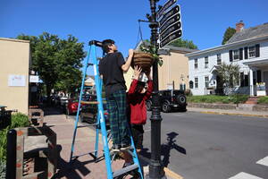 Carousel image 954bb9 anging flower baskets doylestown ay